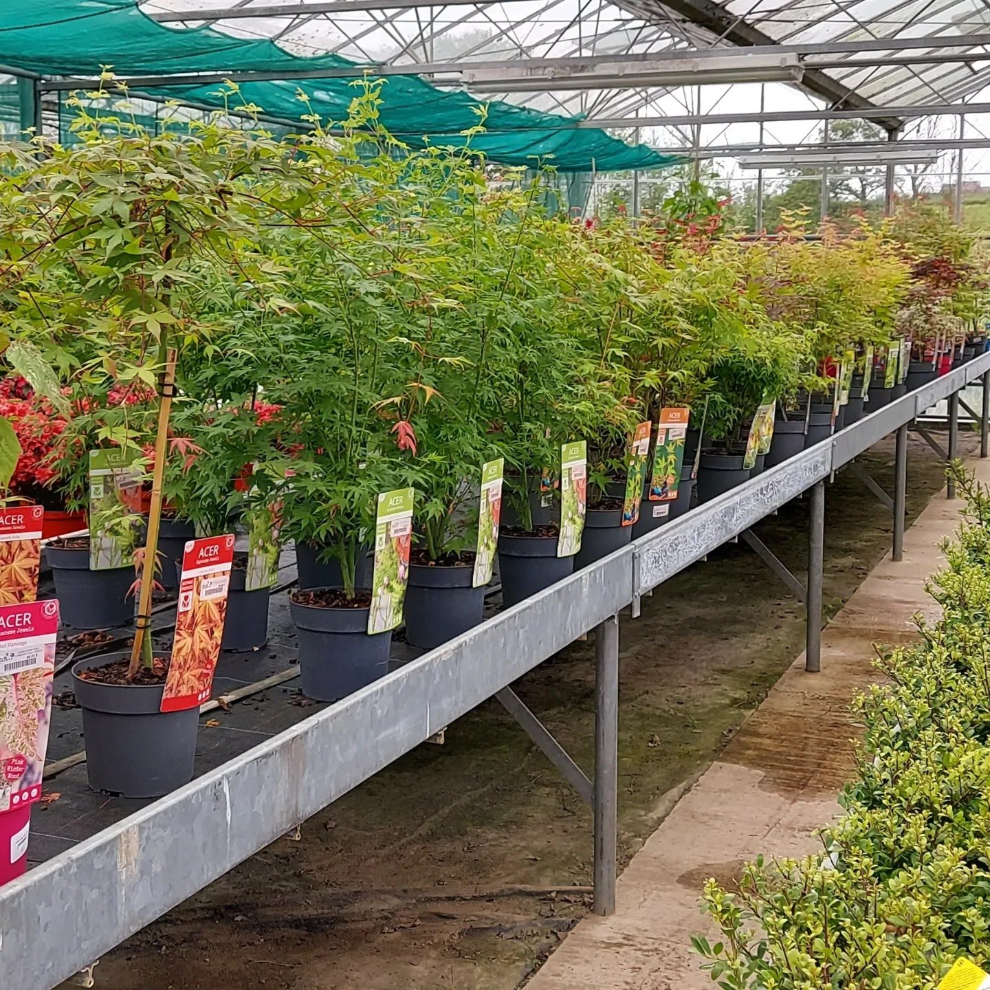 Greenparadise