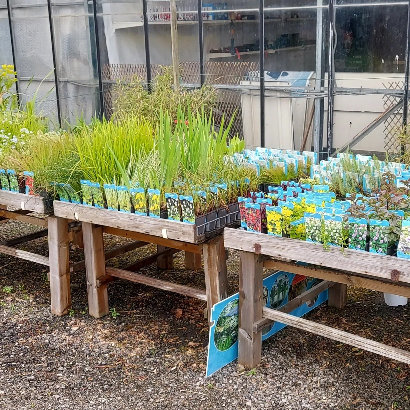 Greenparadise